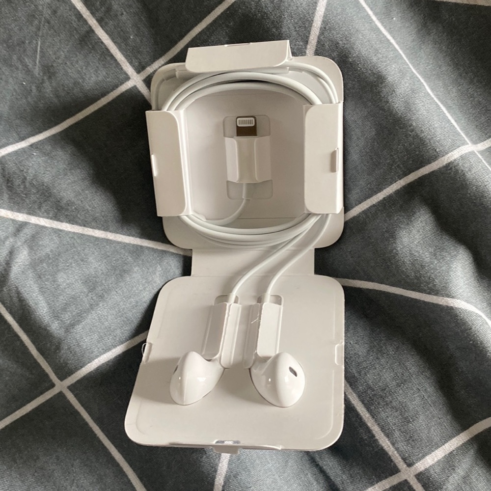 Apple Headphones